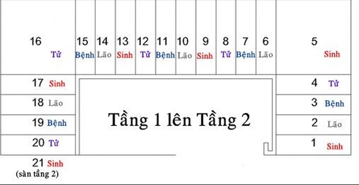 thiết kế cầu thang