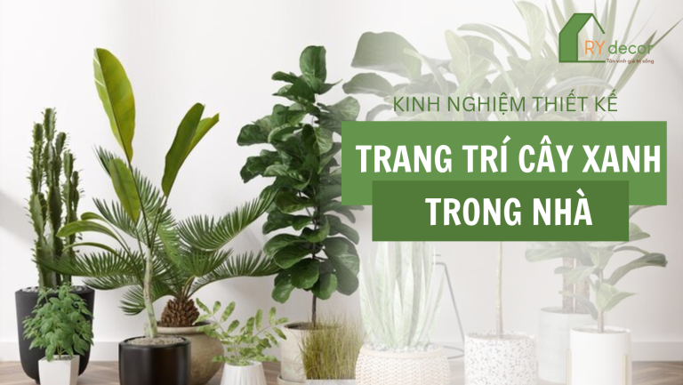 trang trí cây xanh trong nhà
