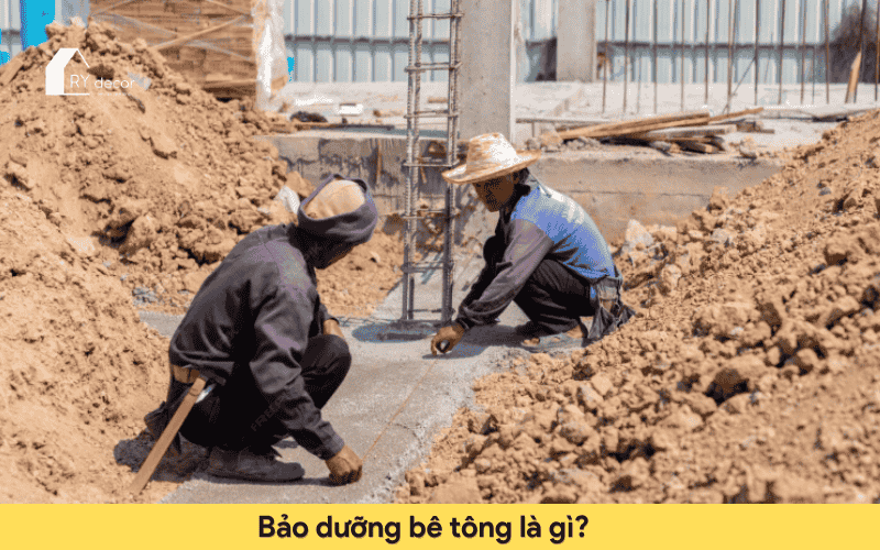 Bảo dưỡng bê tông sai cách gây nứt sàn nghiêm trọng! 1 bảo dưỡng bê tông